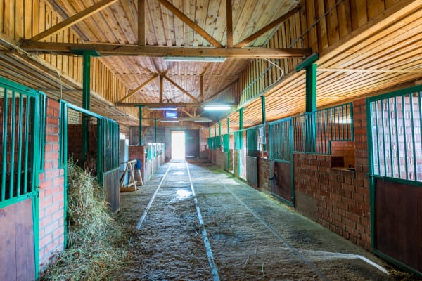 A horse barn